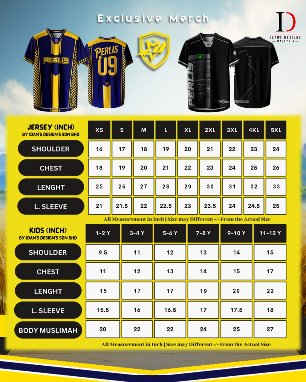 NFL-PERLIS25 (V2)